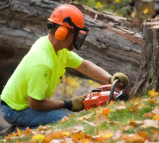 tree services Cordaville